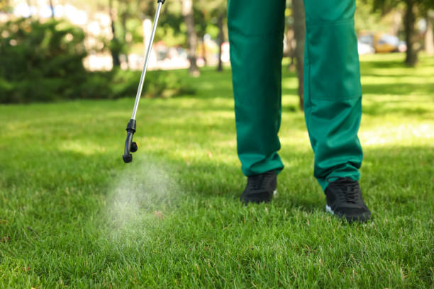 Best Exterminator Services  in Irving, TX